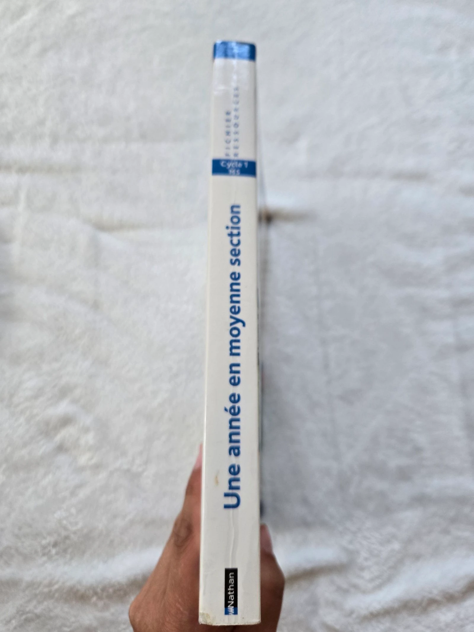 Un año en la sección media Nathan – photo 10